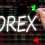 Everything to know about Asia Forex Mentor